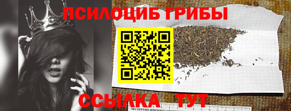 Галлюциногенные грибы GOLDEN TEACHER  Псилоцибиновые грибы Psilocybe  Вход с VPN  Вятские Поляны 